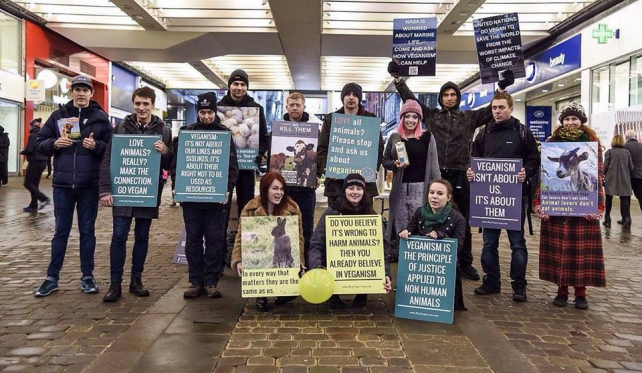 Animal rights activism in the UK: a history