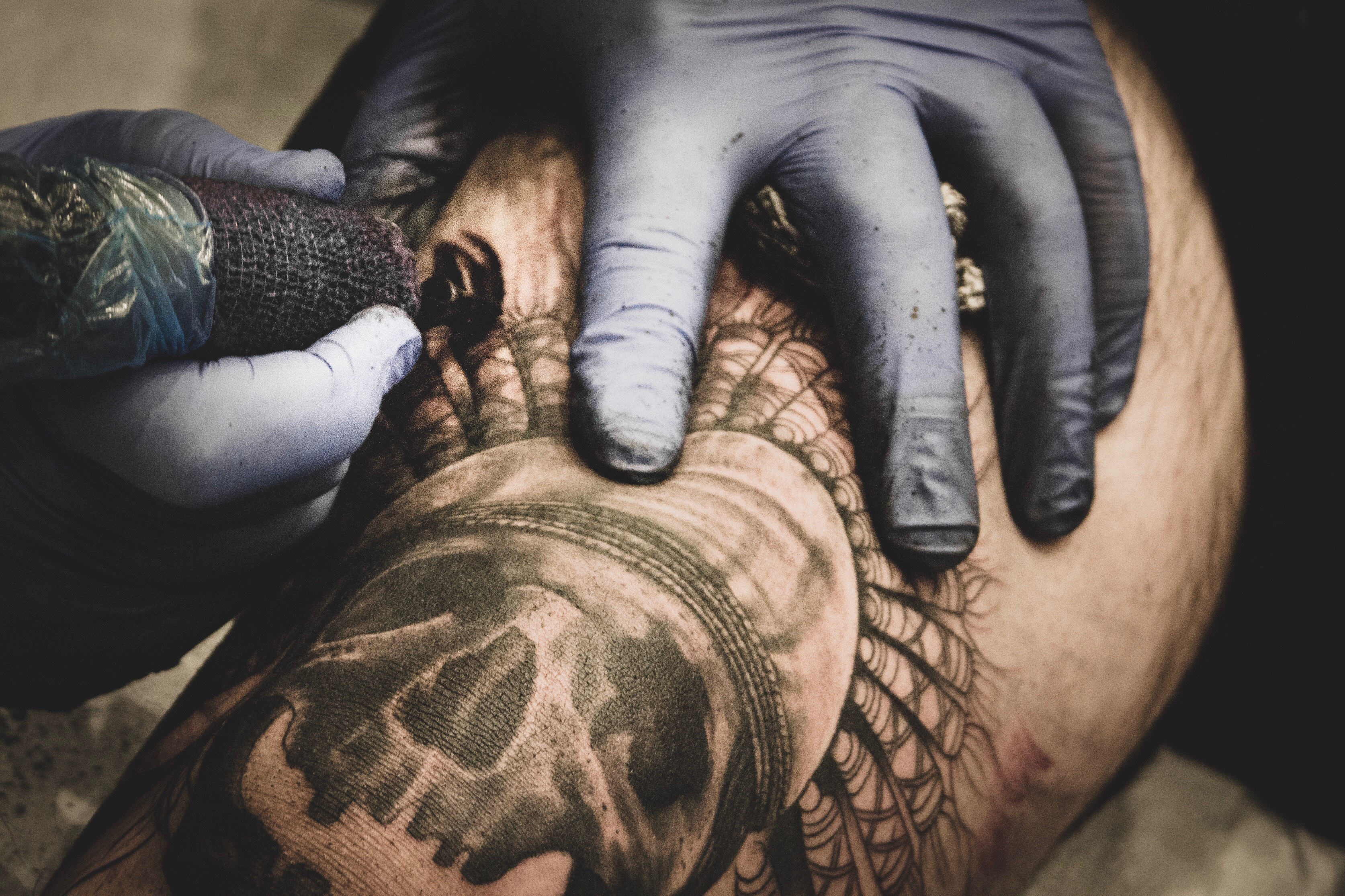 Vegan tattoos: why tattoos aren't always cruelty free